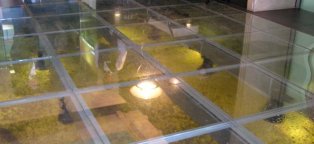 Business Idea For Small Business From Scratch